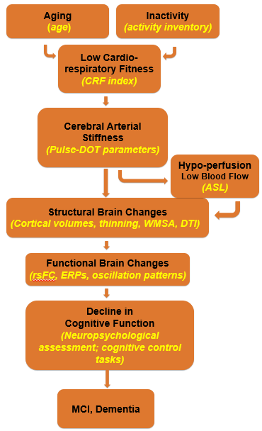 Project2_Pathway