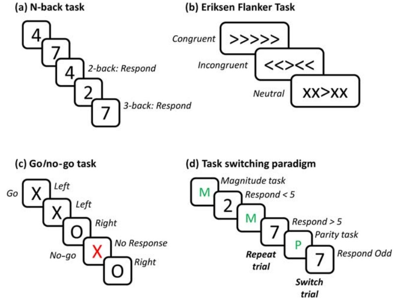 Dynamics-cog-ctrl