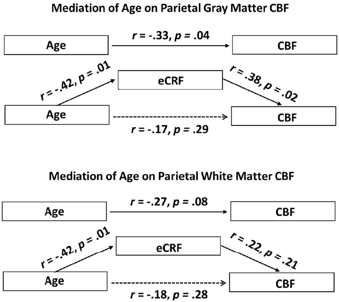 cardiorespiratory-fitness-mediates2014